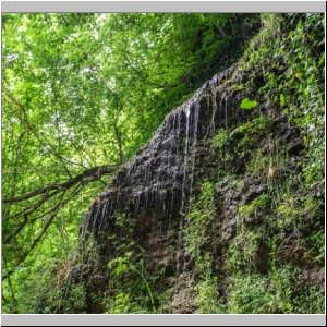 kl-hwj-032-Purgstall-2023-Erlaufschlucht.jpg
