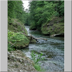 kl-hwj-036-Purgstall-2023-Erlaufschlucht.jpg