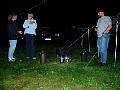 p6110042.jpg