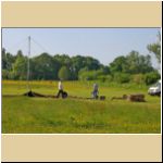 -20-05-3-Delbrueck.jpg